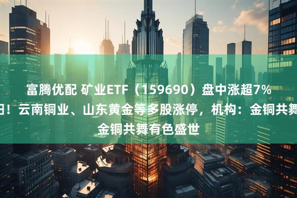富腾优配 矿业ETF（159690）盘中涨超7%冲击6连阳！云南铜业、山东黄金等多股涨停，机构：金铜共舞有色盛世